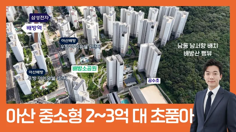 유튜브 — 아산 중소형 2~3억대